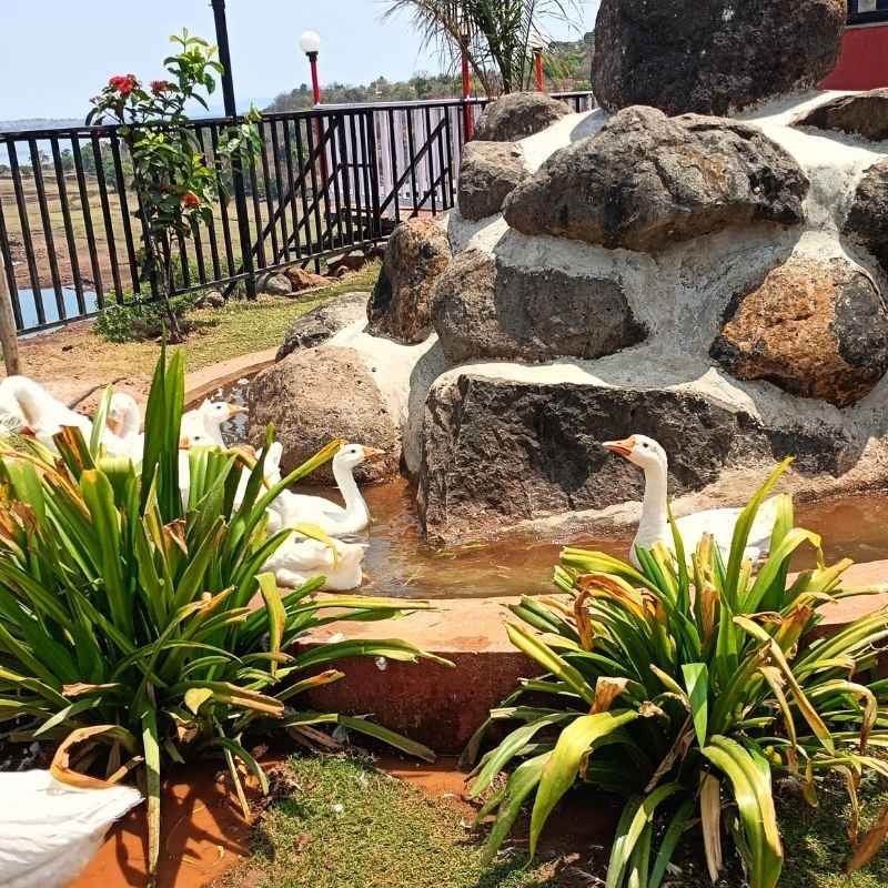 resorts near bhor for family activities
